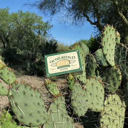 Cactus Needles